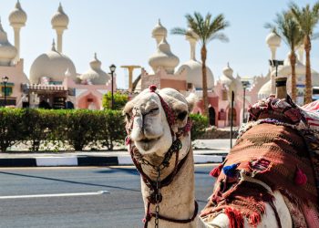 Şarm El Şeyh Türk turistlerin ilgisini çekmeye devam ediyor