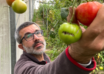 Gıda fiyatlarında 2025 için gerileme yaşanabilir mi?