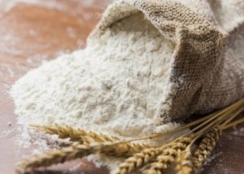 Türkiye’den Suriye’ye 400 bin tondan fazla un ihracatı bekleniyor