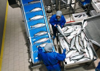 Akdeniz’in su potansiyeli “Kafes balıkçılığı” ile artacak