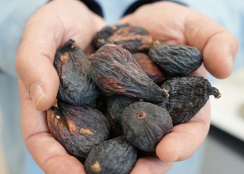 Kuru incir ihracatında küresel pazar rekabeti