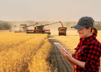 Tarım sektörünün yapısal sorunları üretim ve planlamayla çözülecek