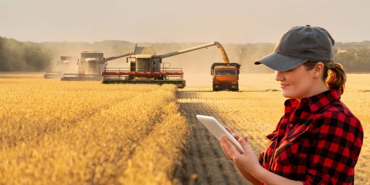 Tarım sektörünün yapısal sorunları üretim ve planlamayla çözülecek