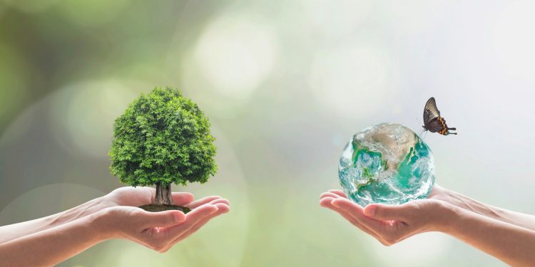 Çevresel sürdürülebilirlik kurumsallaşmanın ilk adımı