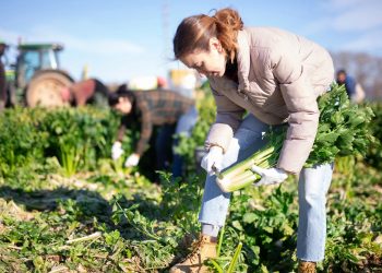 Tarımda dışa bağımlılık azaldıkça verim artacak