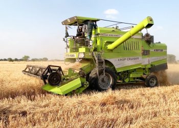 Biçerdöverler buğdayda yoğun mesai içerisinde