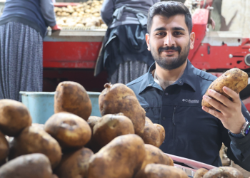 Bitkisel üretim düşecek rekolte yeniden şekillenecek