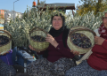 Zeytinyağı ihracatında uzak pazarlara erişildi