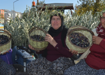 Zeytinyağı ihracatında uzak pazarlara erişildi