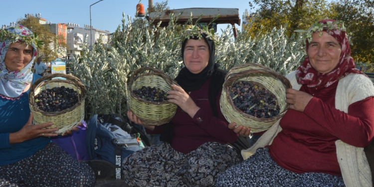 Zeytinyağı ihracatında uzak pazarlara erişildi