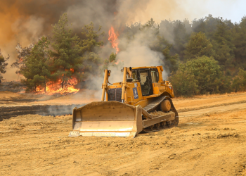Orman yangınları ekonomik  verileri de “duman altı” etti