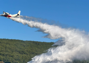 23 milyon hektarlık ormanın yüzde 55’i yüksek risk grubunda