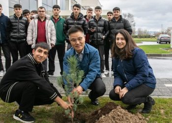 Hyundai, IONIQ ormanı projesi ile 1 milyon ağaç dikti