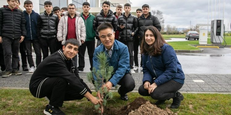 Hyundai, IONIQ ormanı projesi ile 1 milyon ağaç dikti