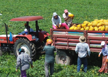 Tarım arazilerini koruma ve desteklemek için seferberlik