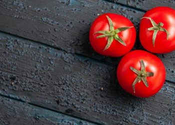 Domates ve tohumculuğunda dünyanın güçlü oyuncusuyuz