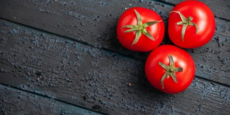 Domates ve tohumculuğunda dünyanın güçlü oyuncusuyuz