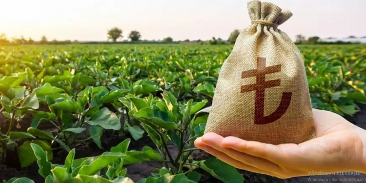 Çiftçilere yaklaşık 2,5 milyar lira kuraklık tazminatı ödendi