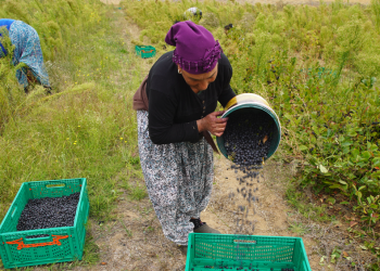 Kırsal bölgeler gelişecek kadın ve çocuklar desteklenecek