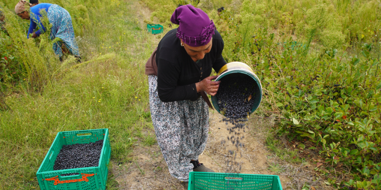Kırsal bölgeler gelişecek kadın ve çocuklar desteklenecek