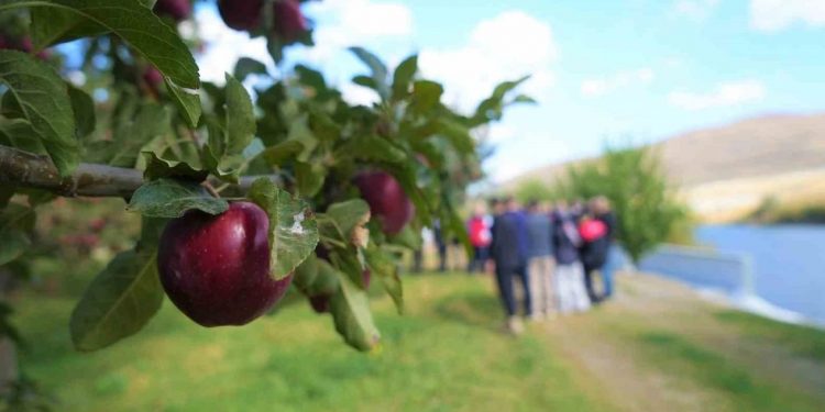 Mevsimsel etkisi olsa da elmada umudumuzu koruyoruz