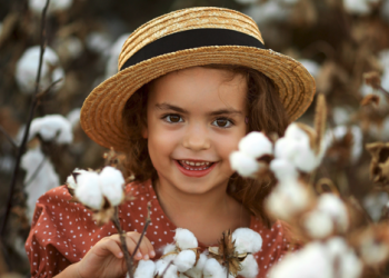 Antalya’nın “Beyaz altını” hasatla birlikte gözde ürün