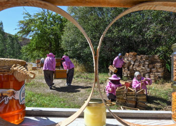 Tarımsal üretim yetmez organik tüketim de şart