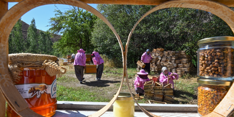 Tarımsal üretim yetmez organik tüketim de şart