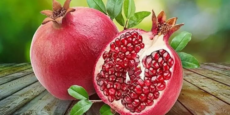 İhracatlı nar hasadı bölgenin de umudu oldu