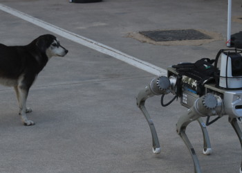 Milli savunma sistemine dört ayaklı destek geldi