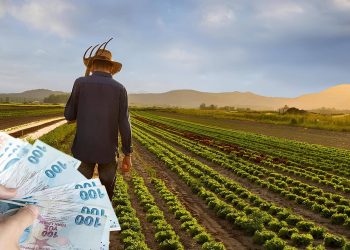 Tarımsal riskler artarken mali destekler de arttı