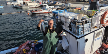 Deniz ürünleri SOS verse de  kazanç  kapısı konumunda