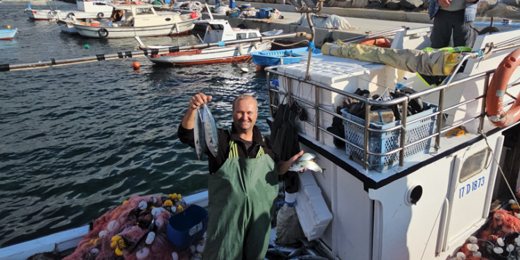 Deniz ürünleri SOS verse de  kazanç  kapısı konumunda