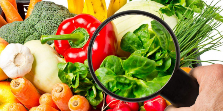 Güvenli gıda tüketimi için kurumsal seferberlik başladı