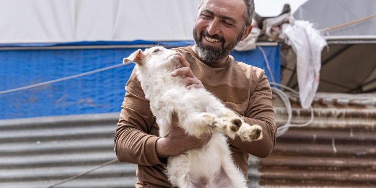 Hayvancılıkta mevcut uygulama taviz vermeden sürdürülmeli