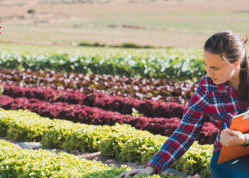 Türkiye coğrafi işarette marka değerini artıracak