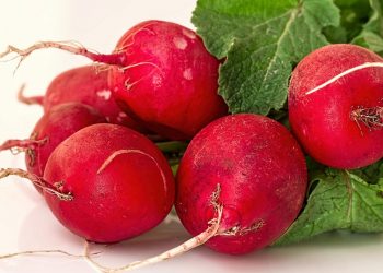 Tescilli turp hasadında zorlu yıkama mesaisi