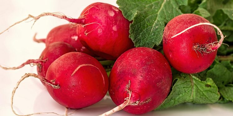 Tescilli turp hasadında zorlu yıkama mesaisi