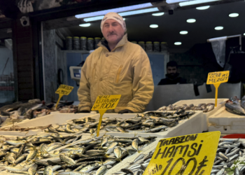 Vatandaş kış aylarında hesaplı balık yiyecek mi?