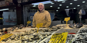 Vatandaş kış aylarında hesaplı balık yiyecek mi?