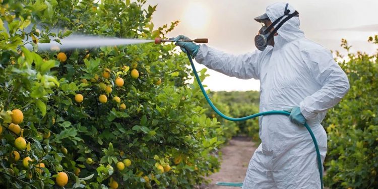 “B-Reçete” uygulaması tarım için ne anlam ifade ediyor?