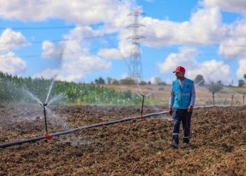Yatırım programında mali destek ön plana çıkıyor