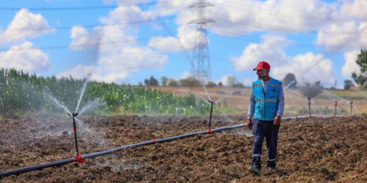 Yatırım programında mali destek ön plana çıkıyor