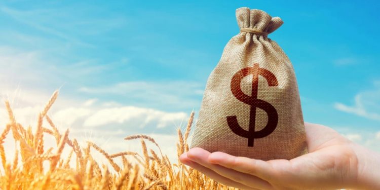 Tarım sektörü 2025’te tüm zamanların en yüksek yıllık ihracatına ulaştı