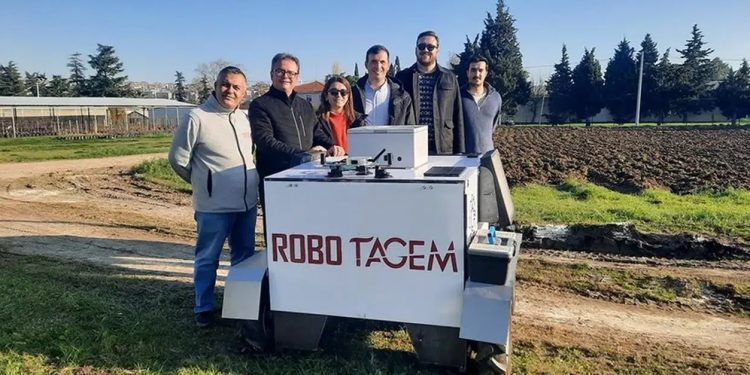 Üzümde verim artışı için robotik müdahale