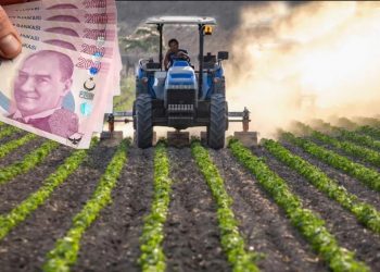 Hazine destekli yatırım ve işletme kredisi nasıl alınır?