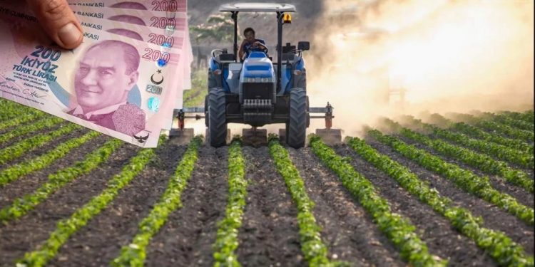 Hazine destekli yatırım ve işletme kredisi nasıl alınır?