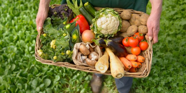 Verimli tarım için ortak projeler tek tek devreye alınıyor