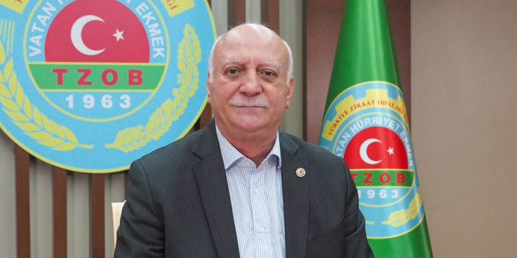 Topraklar suyla buluştu kuraklık ortadan kalktı